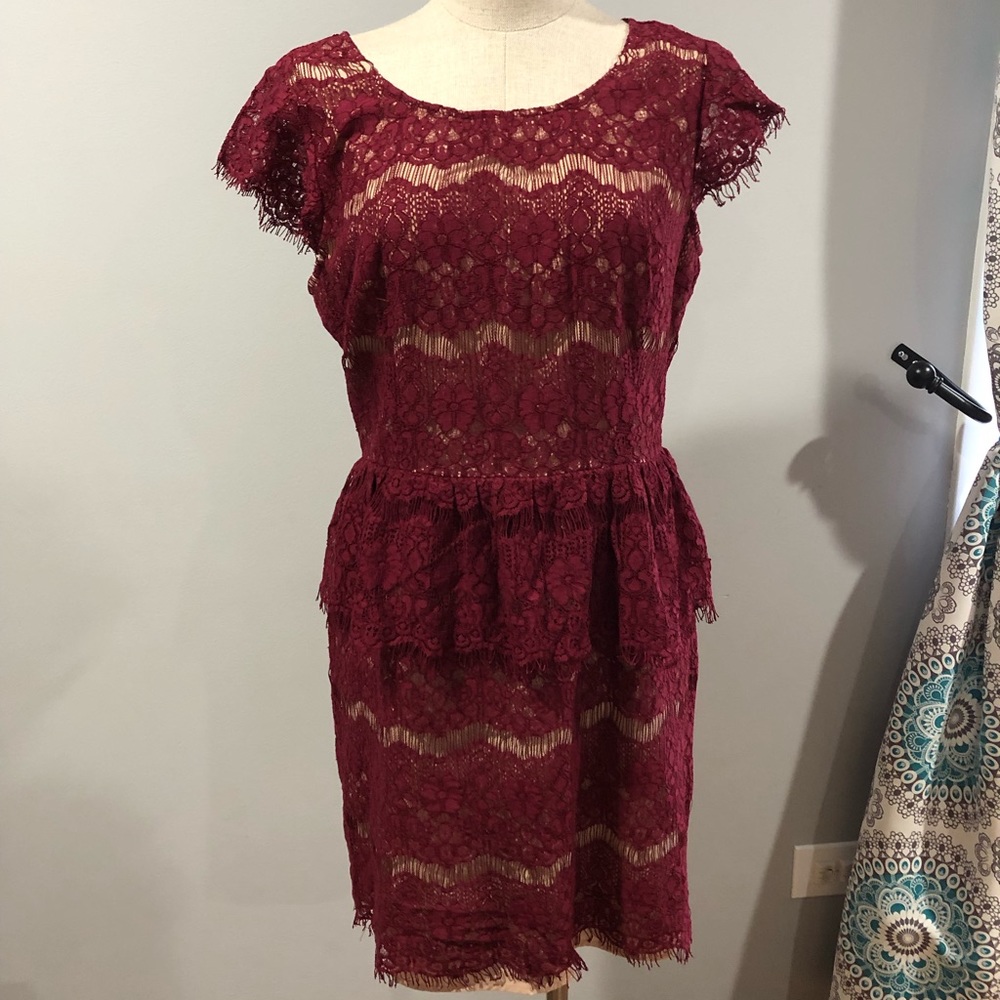 [Anthropologie] Maeve Elsa Peplum Lace Dress Sz L - Picture 4 of 7